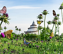 Elbauenpark Magdeburg